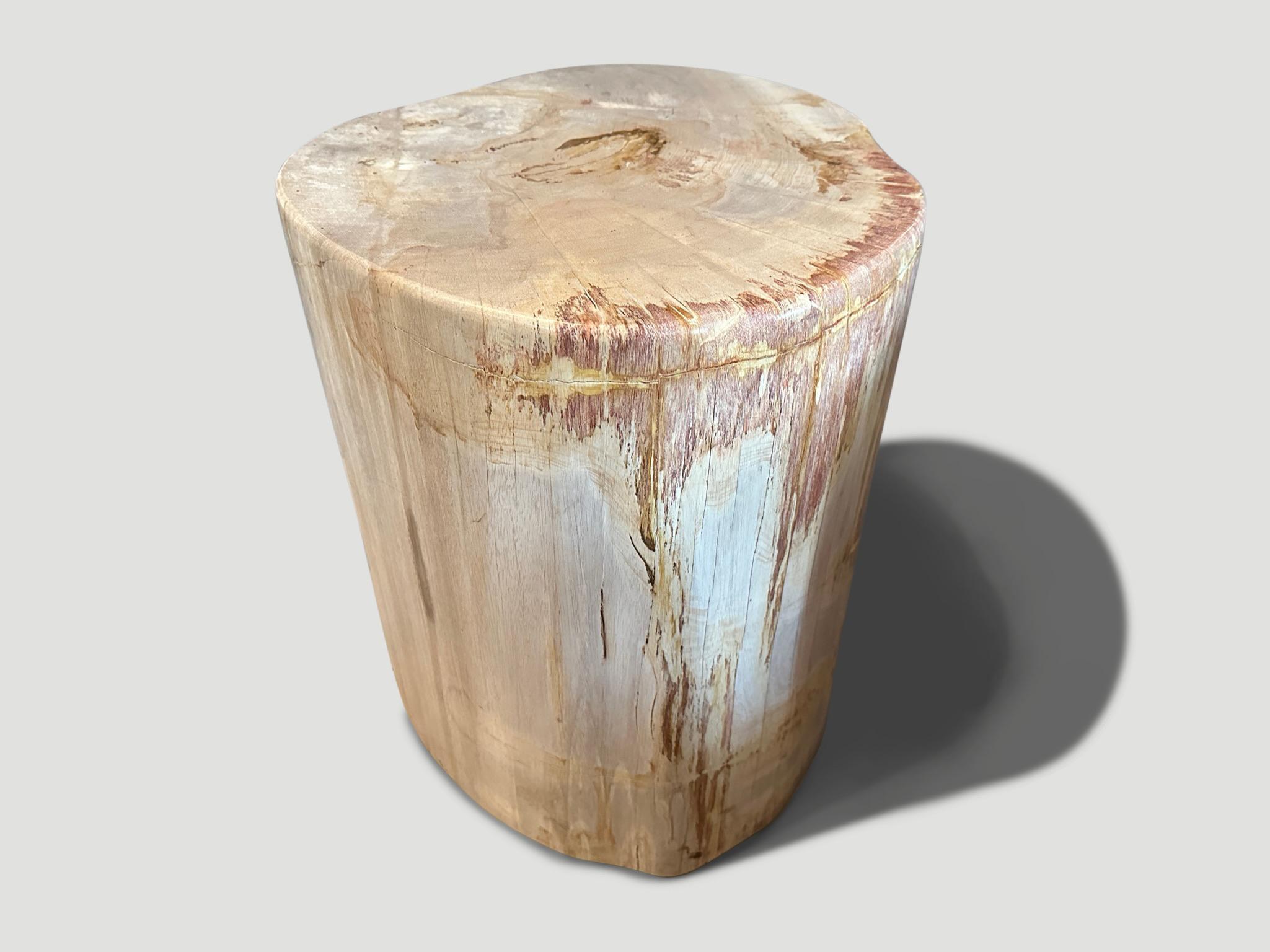 Contemporary Andrianna Shamaris Coral and Beige Petrified Wood Side Table For Sale