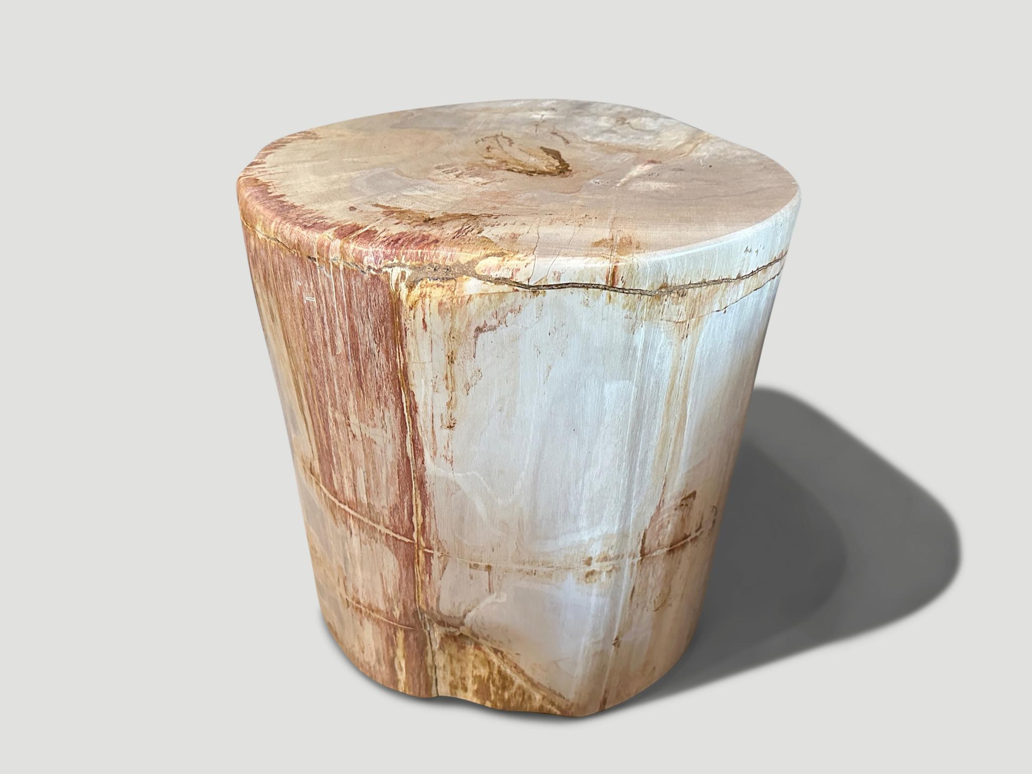Andrianna Shamaris Coral and Beige Petrified Wood Side Table For Sale 1