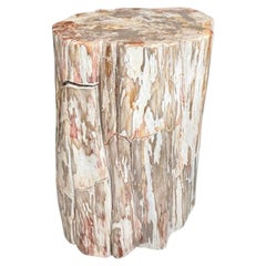 Table d'appoint « Ancient Petrified Wood » aux tons corail d'Andrianna Shamaris