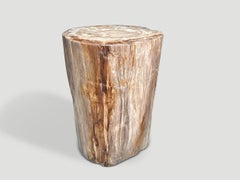 Andrianna Shamaris Coral Toned High Quality Petrified Wood Side Table