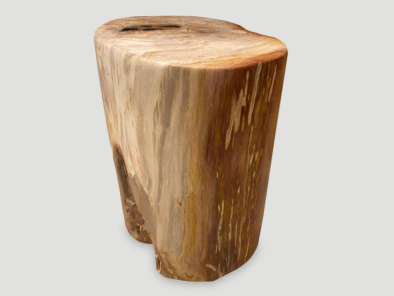 Organic Modern Andrianna Shamaris Coral Toned High Quality Petrified Wood Side Table For Sale