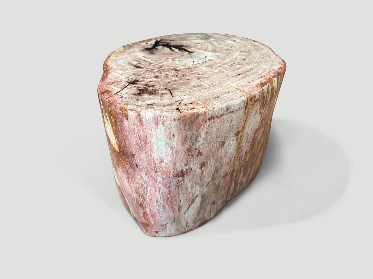 Organique Andrianna Shamaris table d'appoint en bois pétrifié de haute qualité, couleur corail en vente