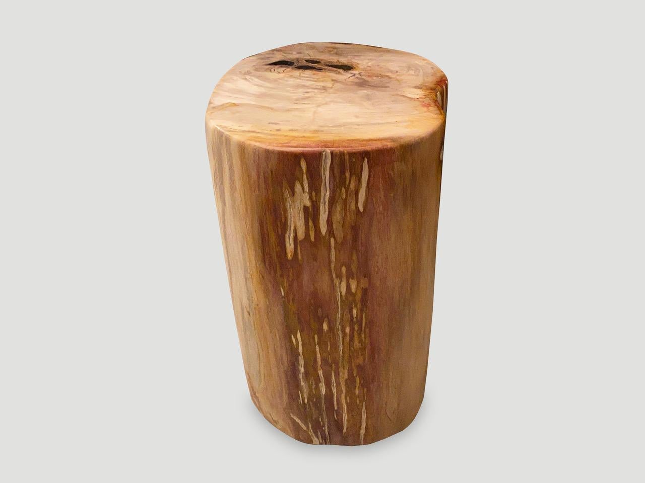 Andrianna Shamaris Coral Toned High Quality Petrified Wood Side Table In Excellent Condition For Sale In New York, NY