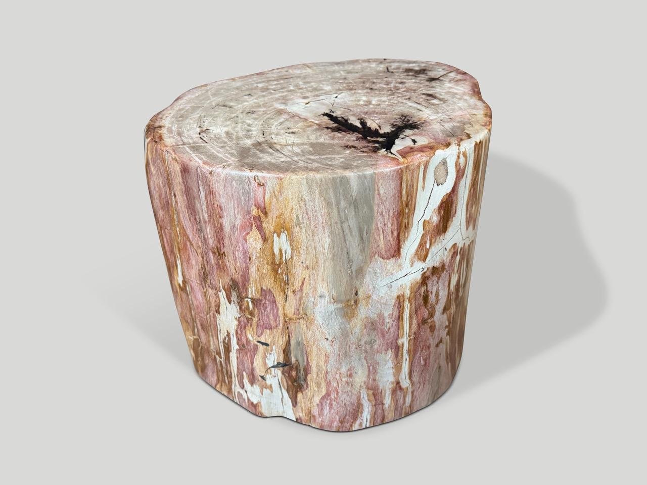 XXIe siècle et contemporain Andrianna Shamaris table d'appoint en bois pétrifié de haute qualité, couleur corail en vente