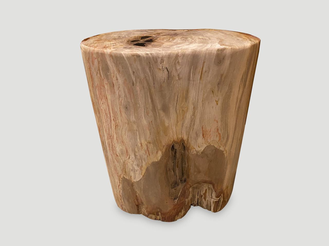 Andrianna Shamaris Coral Toned High Quality Petrified Wood Side Table For Sale 1