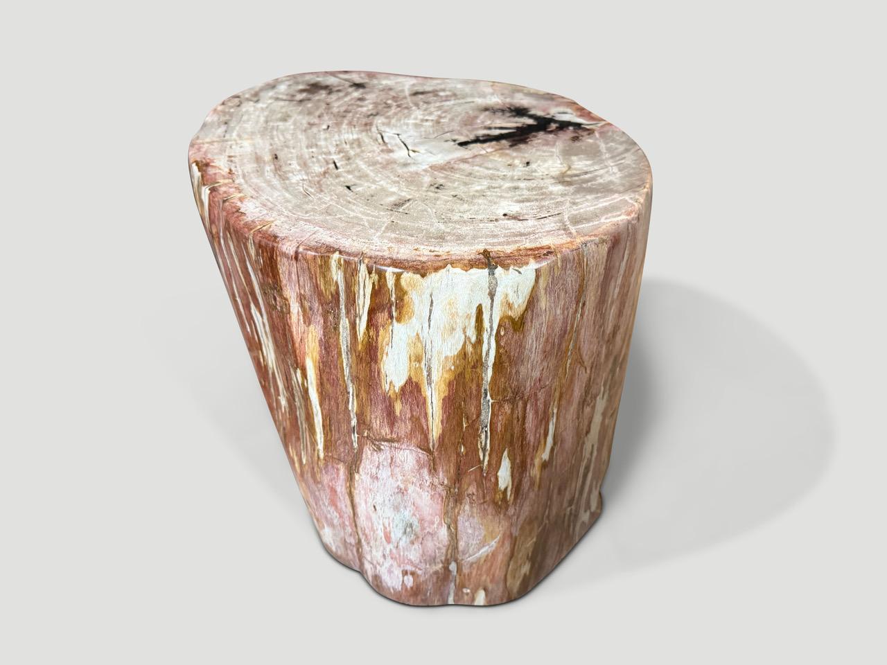 Bois Andrianna Shamaris table d'appoint en bois pétrifié de haute qualité, couleur corail en vente