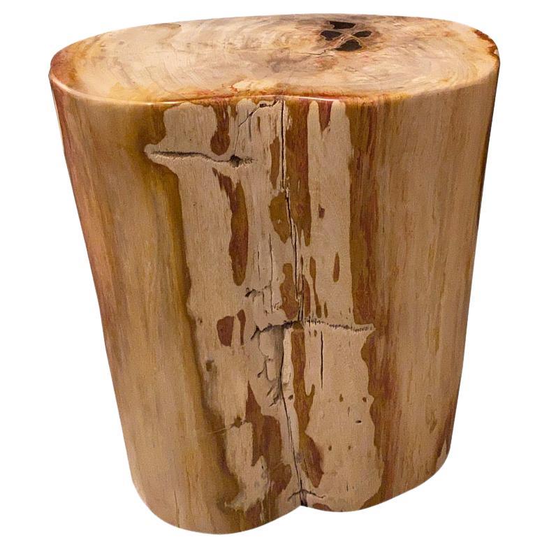 Andrianna Shamaris Coral Toned High Quality Petrified Wood Side Table For Sale