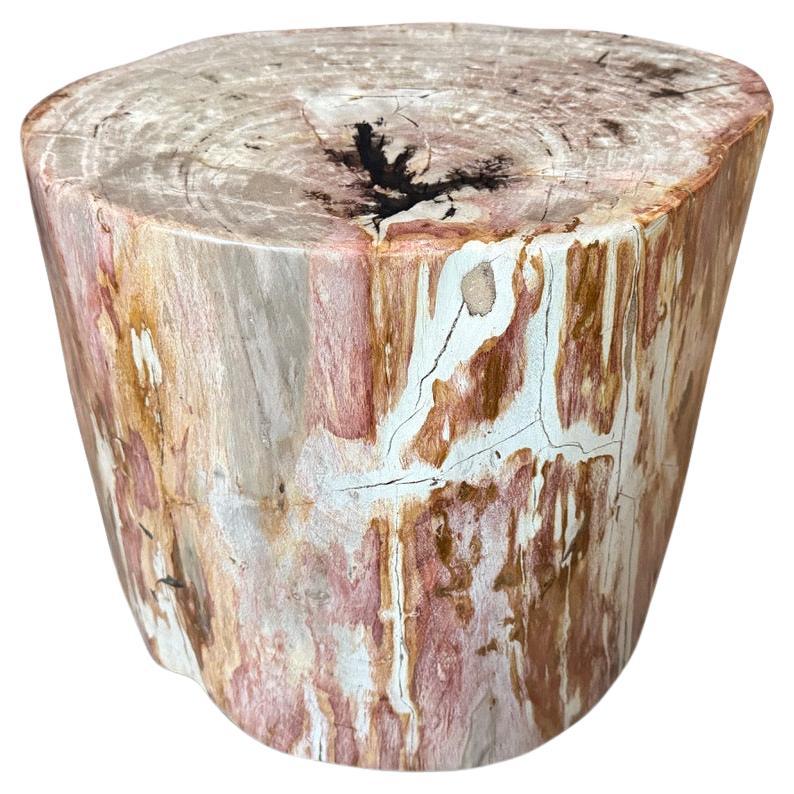 Andrianna Shamaris table d'appoint en bois pétrifié de haute qualité, couleur corail