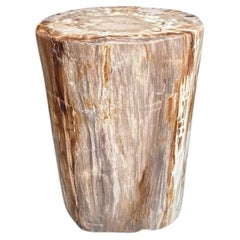 Andrianna Shamaris Coral Toned High Quality Petrified Wood Side Table