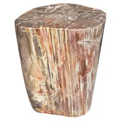 Andrianna Shamaris table d'appoint en bois pétrifié de haute qualité, couleur corail
