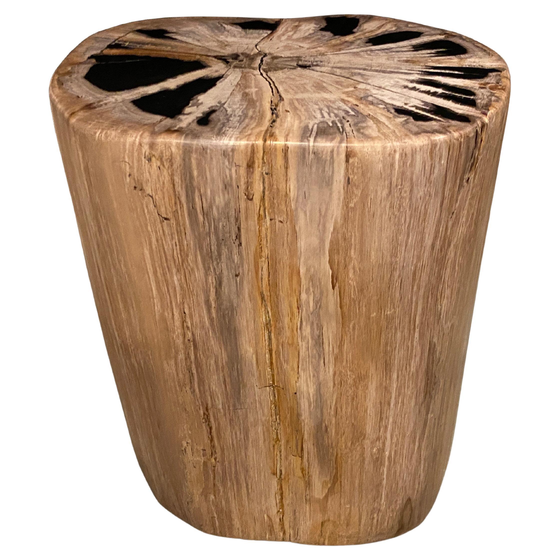 Andrianna Shamaris Coral Toned Petrified Wood Side Table For Sale