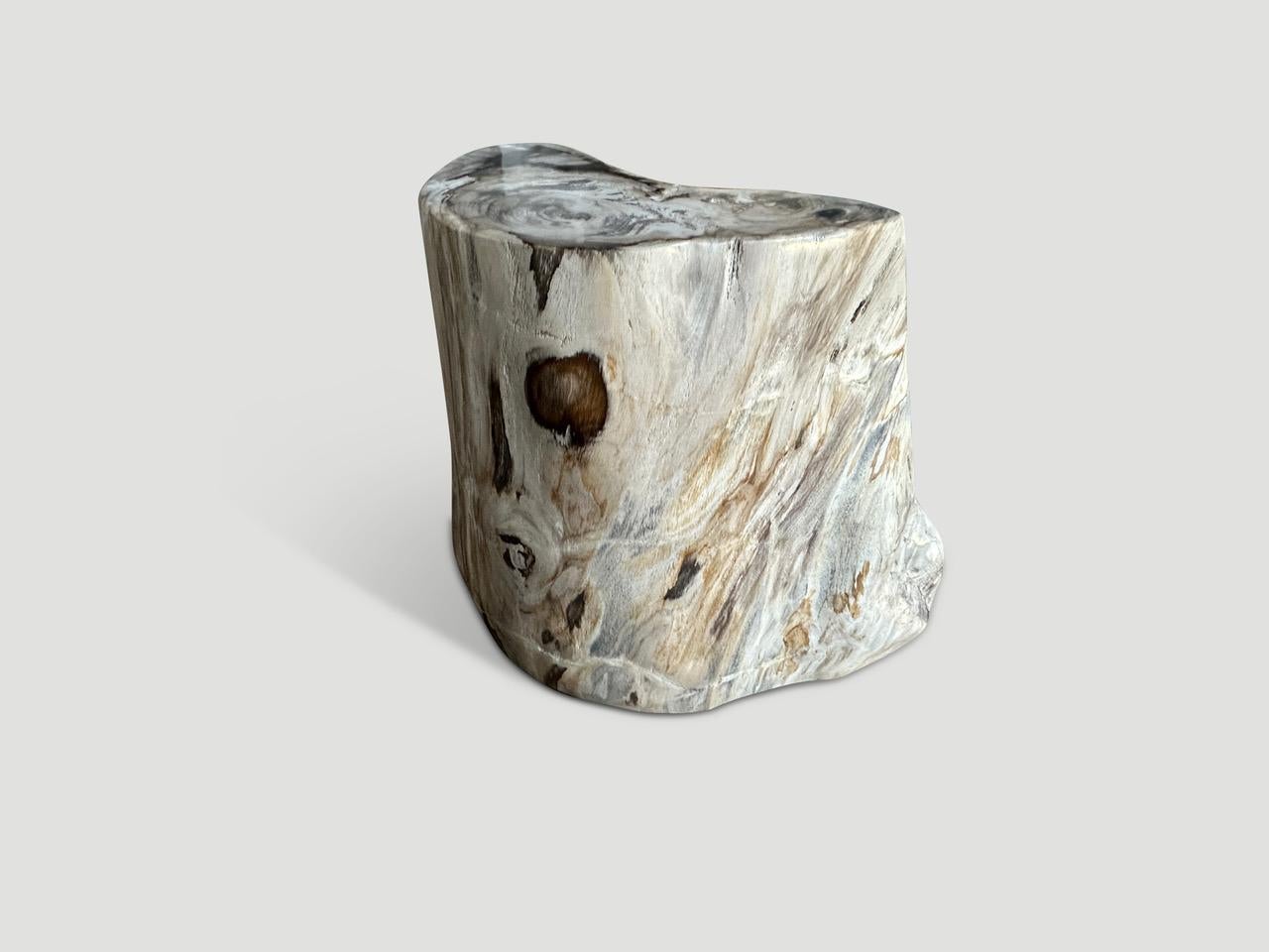 Beautiful pale grey tones on this impressive high quality petrified wood side table. It’s fascinating how Mother Nature produces these stunning 40 million year old petrified teak logs with such contrasting colors and natural patterns throughout.