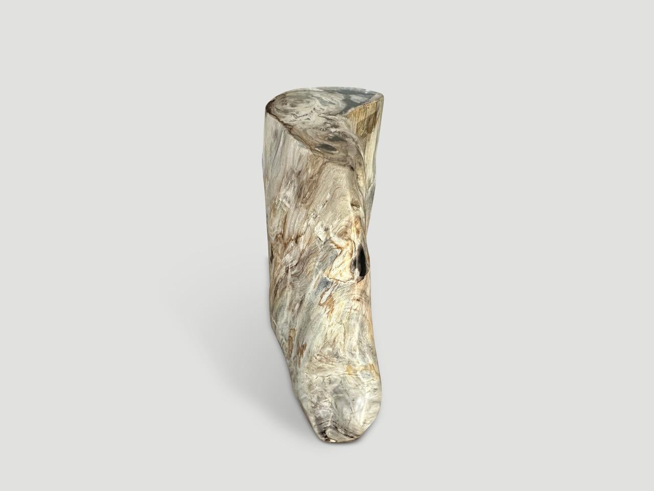Contemporary Andrianna Shamaris Curved Petrified Wood Side Table For Sale