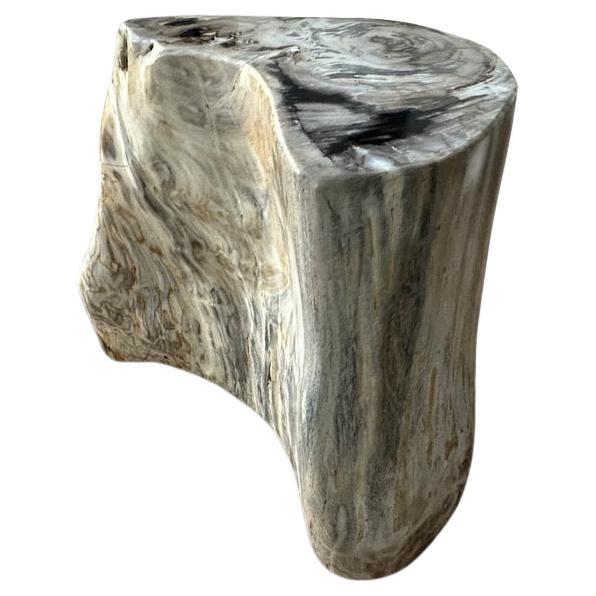 Andrianna Shamaris Curved Petrified Wood Side Table For Sale