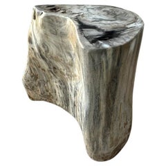 Andrianna Shamaris Curved Petrified Wood Side Table