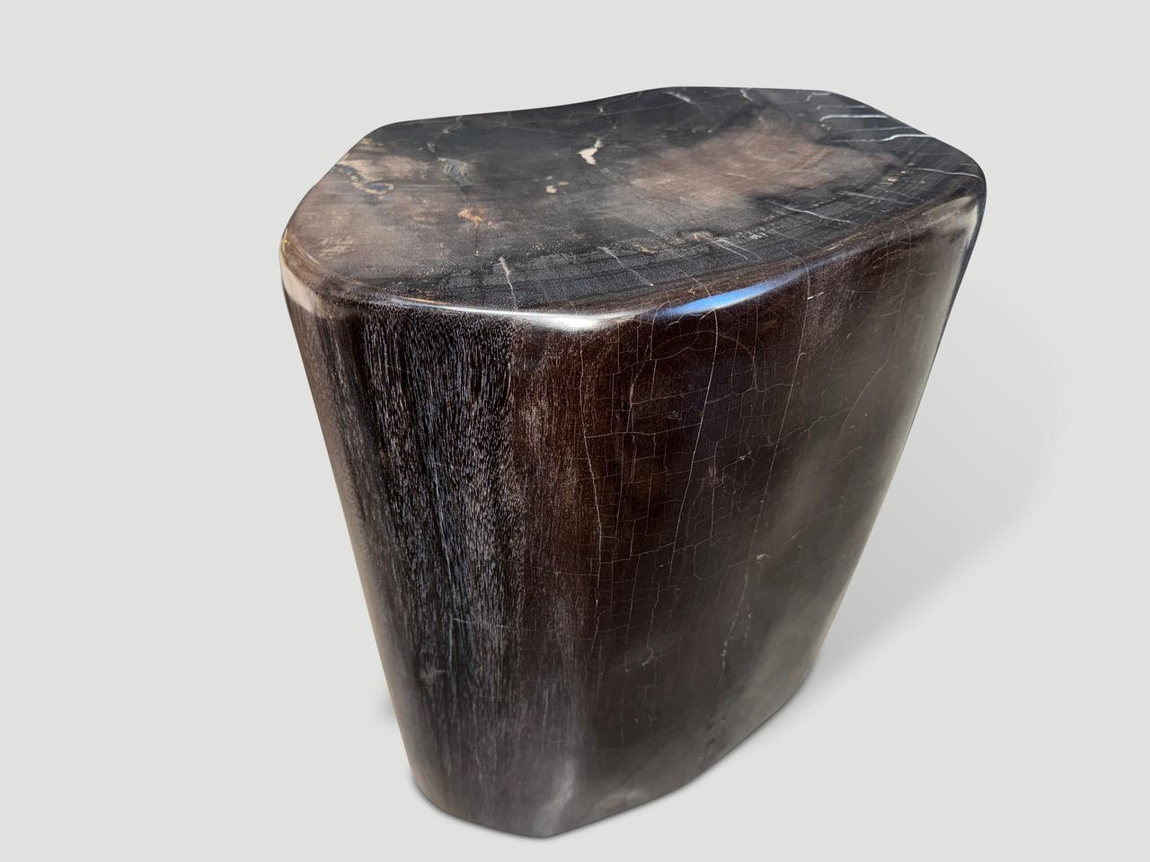 Bellissime tonalità scure in questo tavolino in legno pietrificato liscio. È affascinante il modo in cui Mother Nature produce questi splendidi tronchi di teak pietrificati risalenti a 40 milioni di anni fa, con colori così contrastanti e motivi