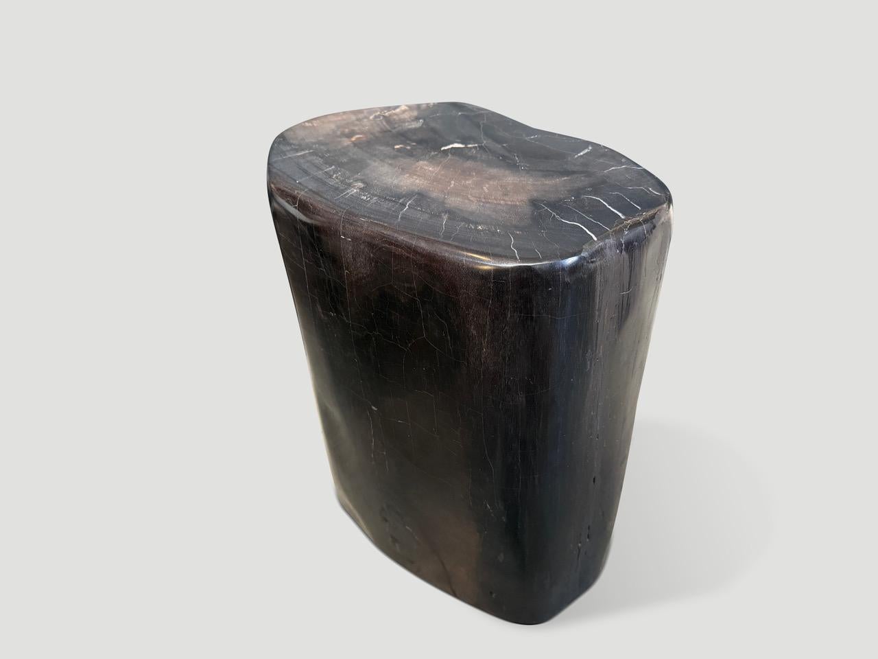 Organico moderno Tavolino in legno pietrificato scuro di alta qualità Andrianna Shamaris in vendita