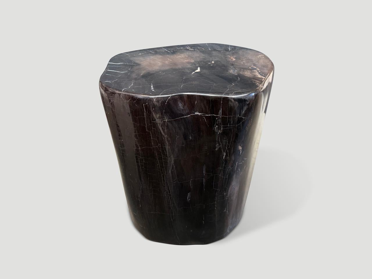 Tavolino in legno pietrificato scuro di alta qualità Andrianna Shamaris In condizioni ottime in vendita a New York, NY