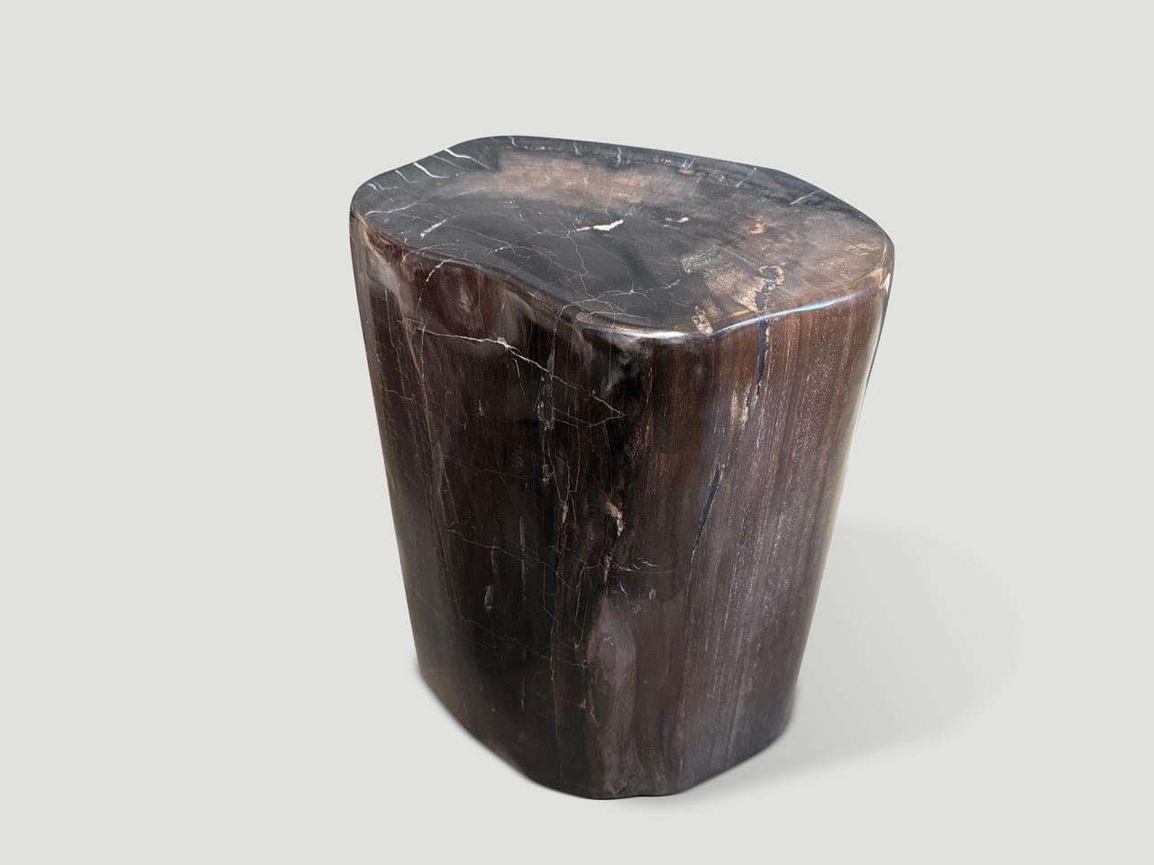 XXI secolo e contemporaneo Tavolino in legno pietrificato scuro di alta qualità Andrianna Shamaris in vendita