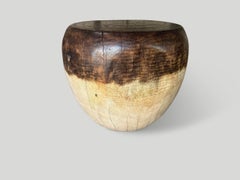 Andrianna Shamaris Drum Shape Mango Wood Side Table