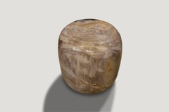 Andrianna Shamaris Drum Shape Petrified Wood