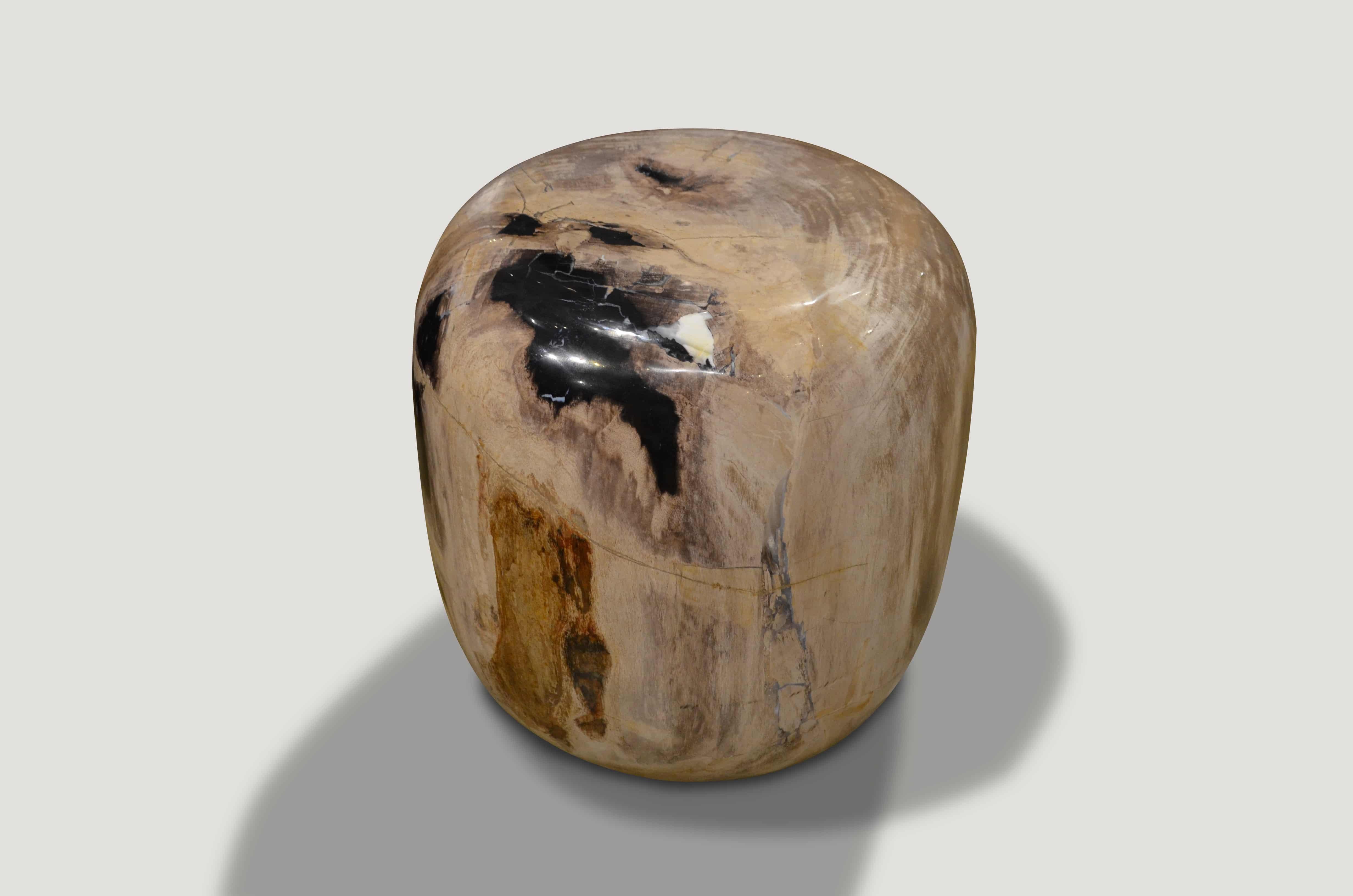 Andrianna Shamaris Drum Shape Petrified Wood In Excellent Condition In New York, NY