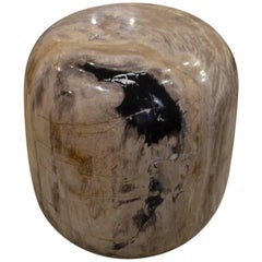 Antique Andrianna Shamaris Drum Shape Petrified Wood