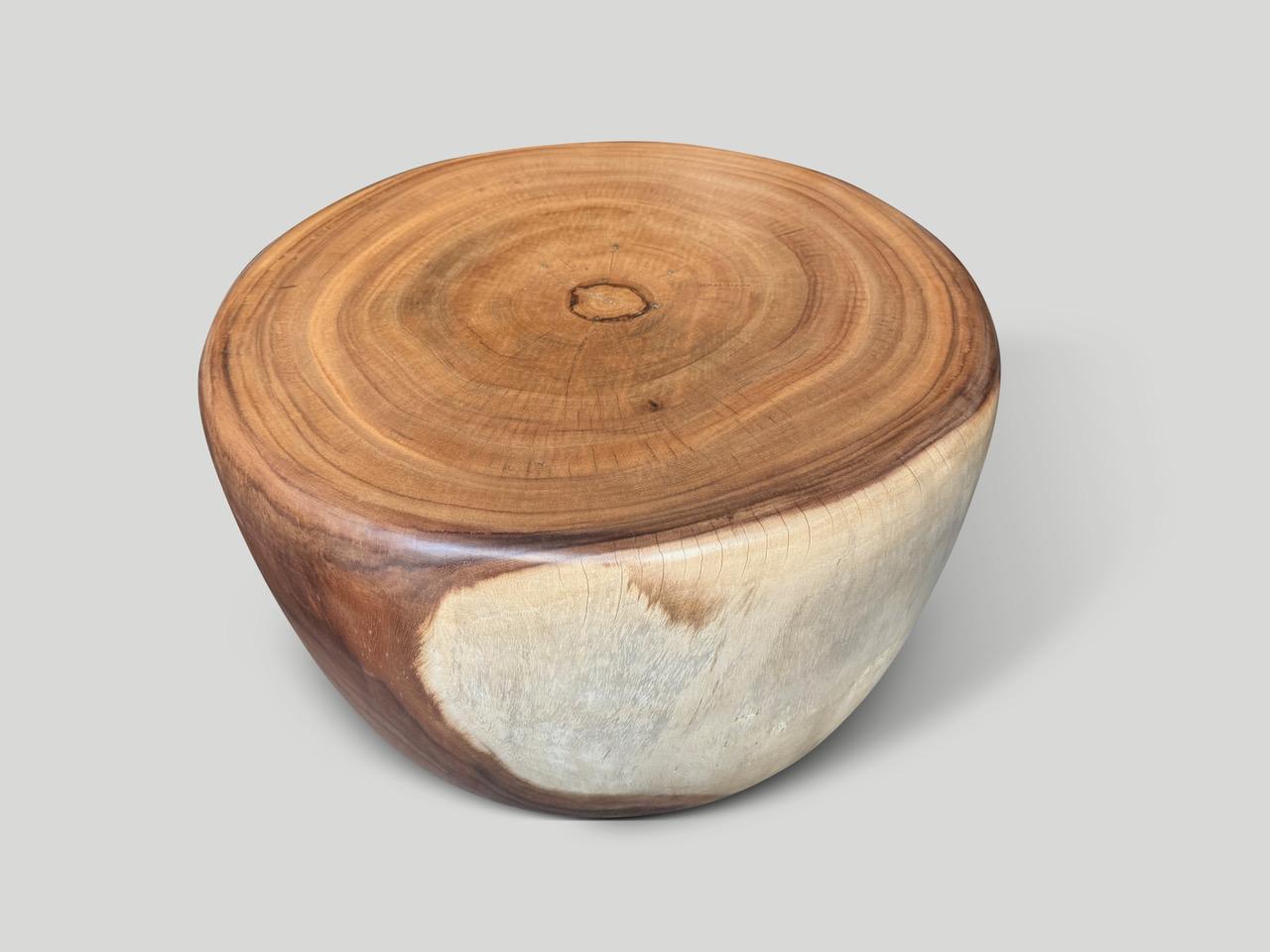 Organique Andrianna Shamaris Table basse en forme de tambour en Wood Wood en vente