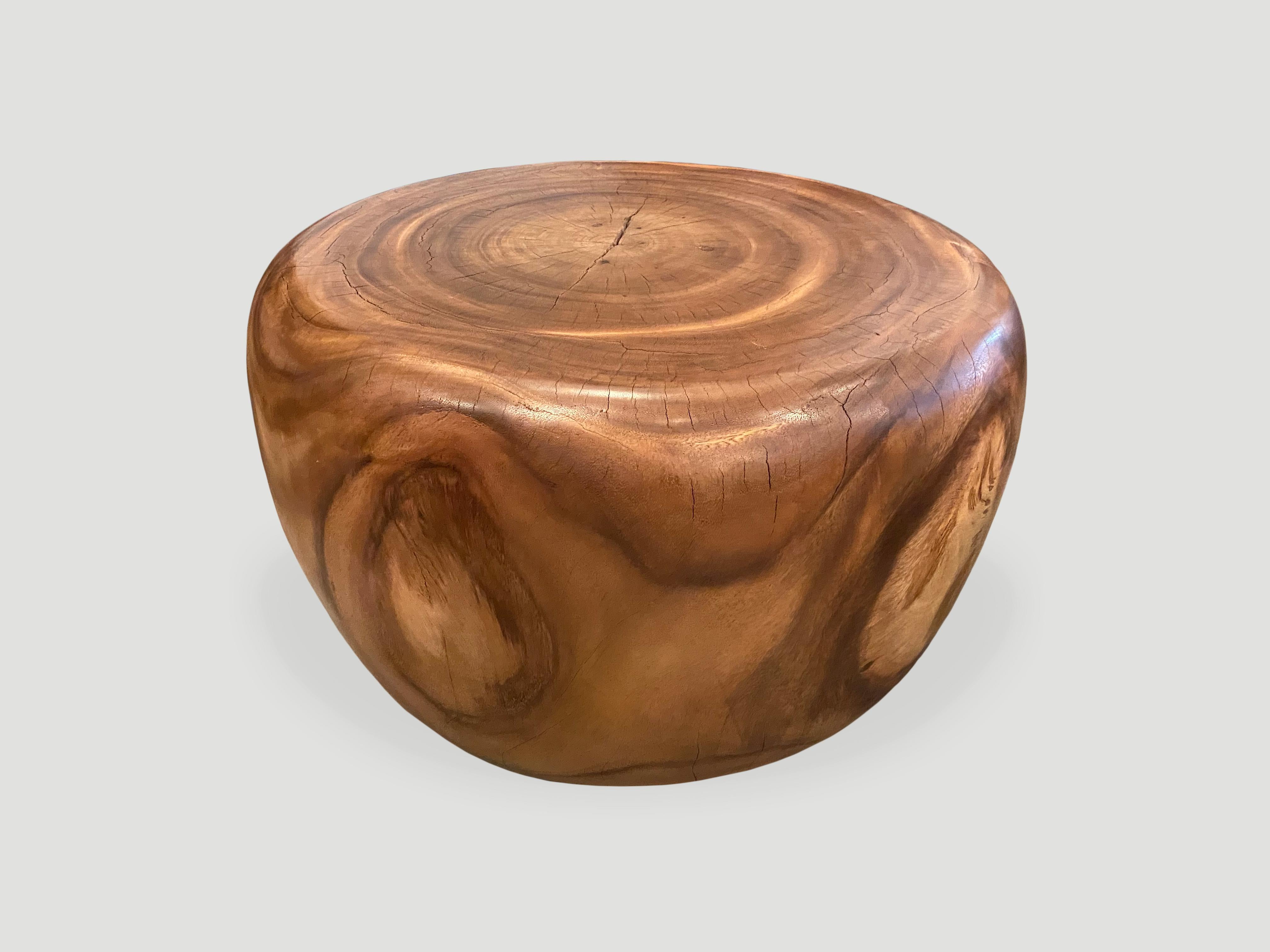 Organic Modern Andrianna Shamaris Drum Shape Suar Wood Coffee Table For Sale