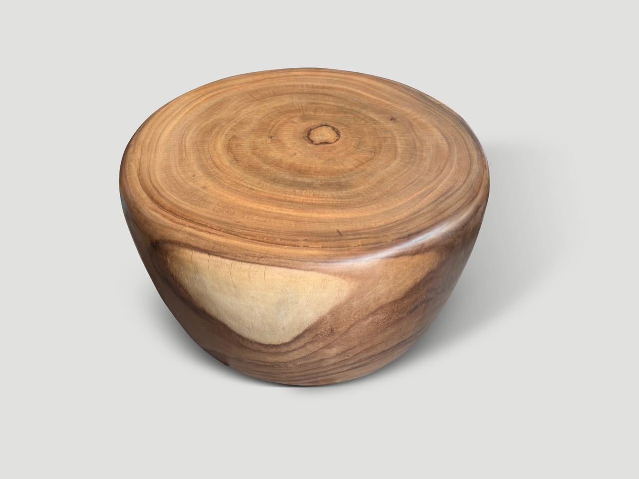 Bois Andrianna Shamaris Table basse en forme de tambour en Wood Wood en vente