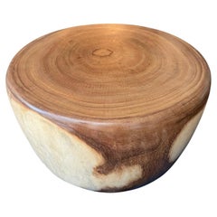Andrianna Shamaris Table basse en forme de tambour en Wood Wood