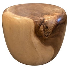 Andrianna Shamaris Drum Shaped Suar Wood Coffee Table or Side Table