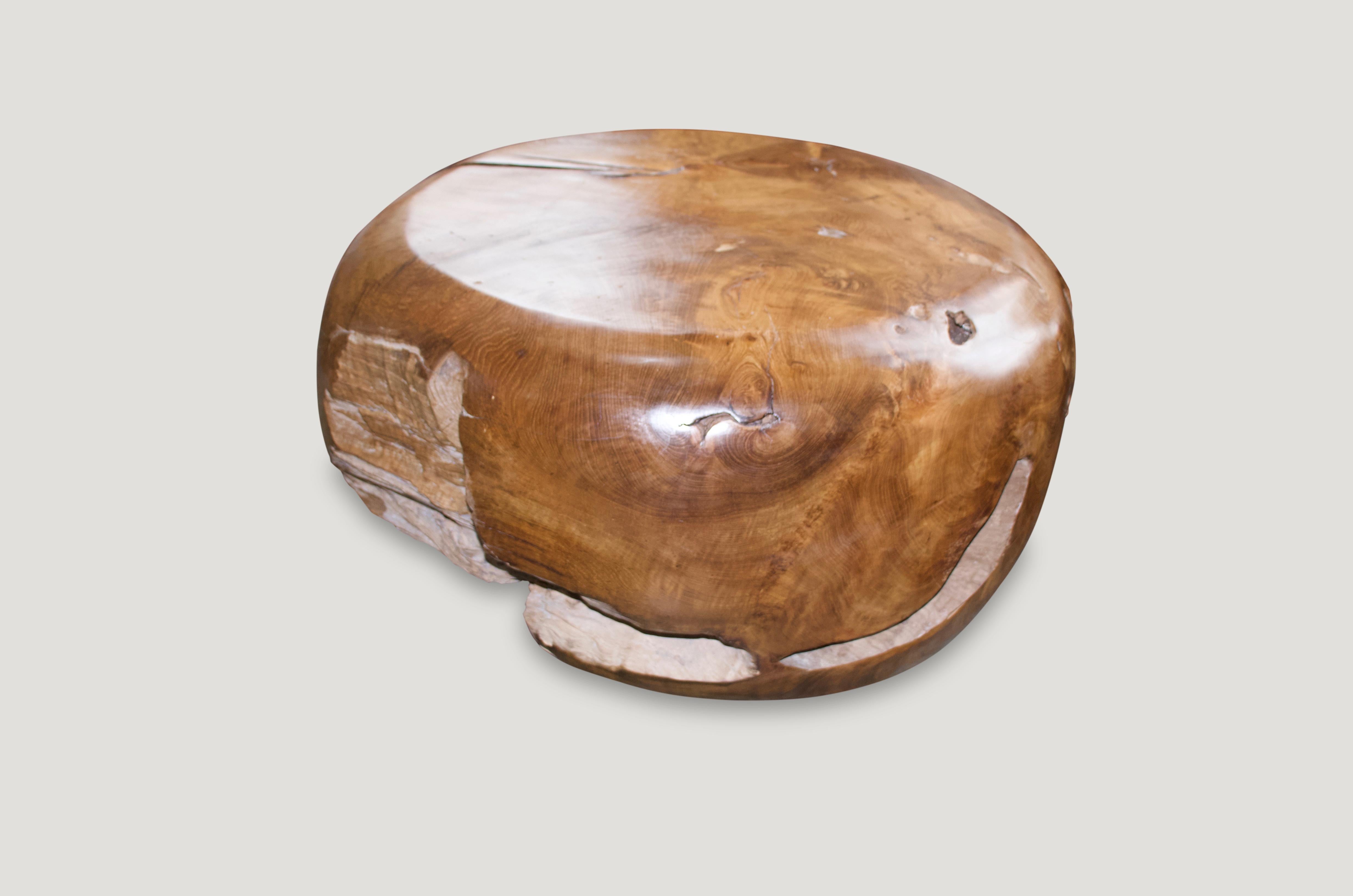 Reclaimed teak wood root coffee table or over sized side table, hand carved into a beautiful drum shape. The outer layer is polished and the inner sides we have left in their natural organic form. Organic is the new modern.

Measures: 30 – 24