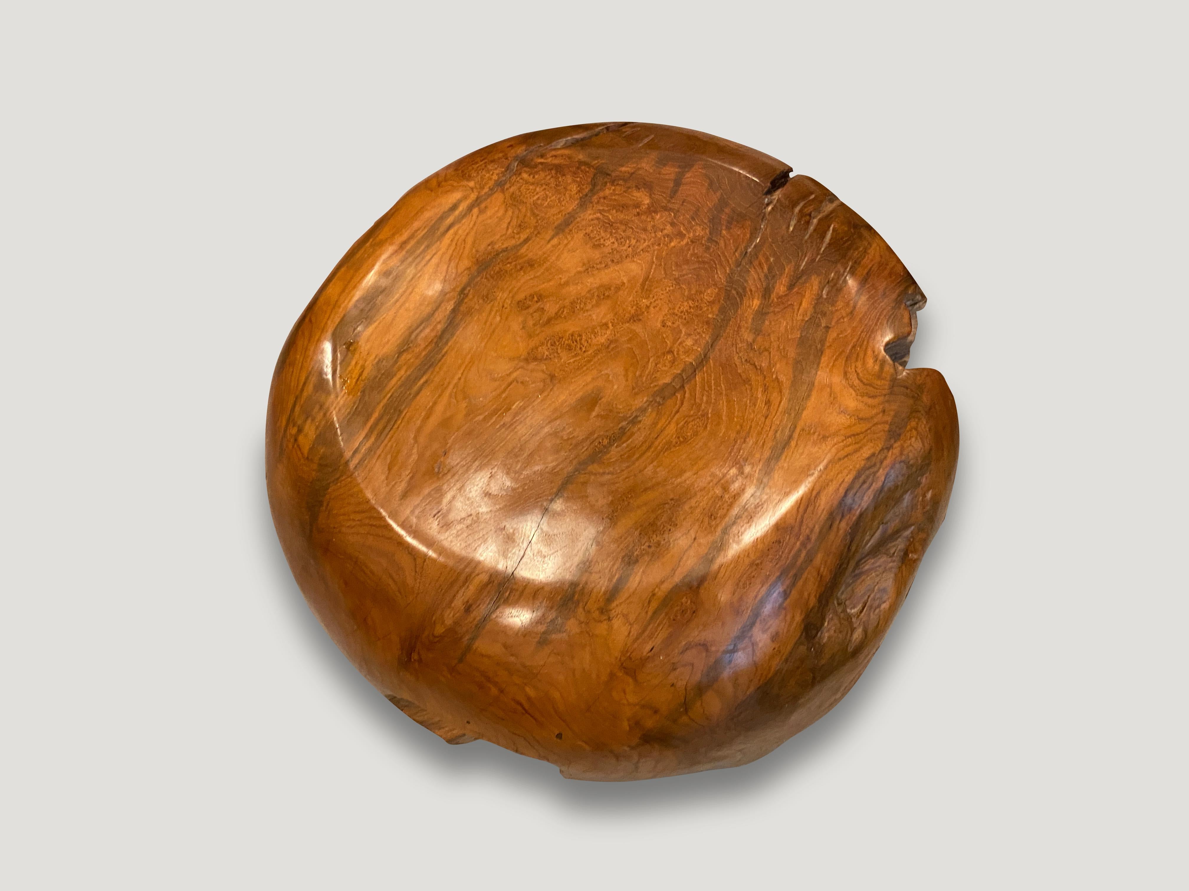 Organic Modern Andrianna Shamaris Drum Shaped Teak Wood Coffee Table