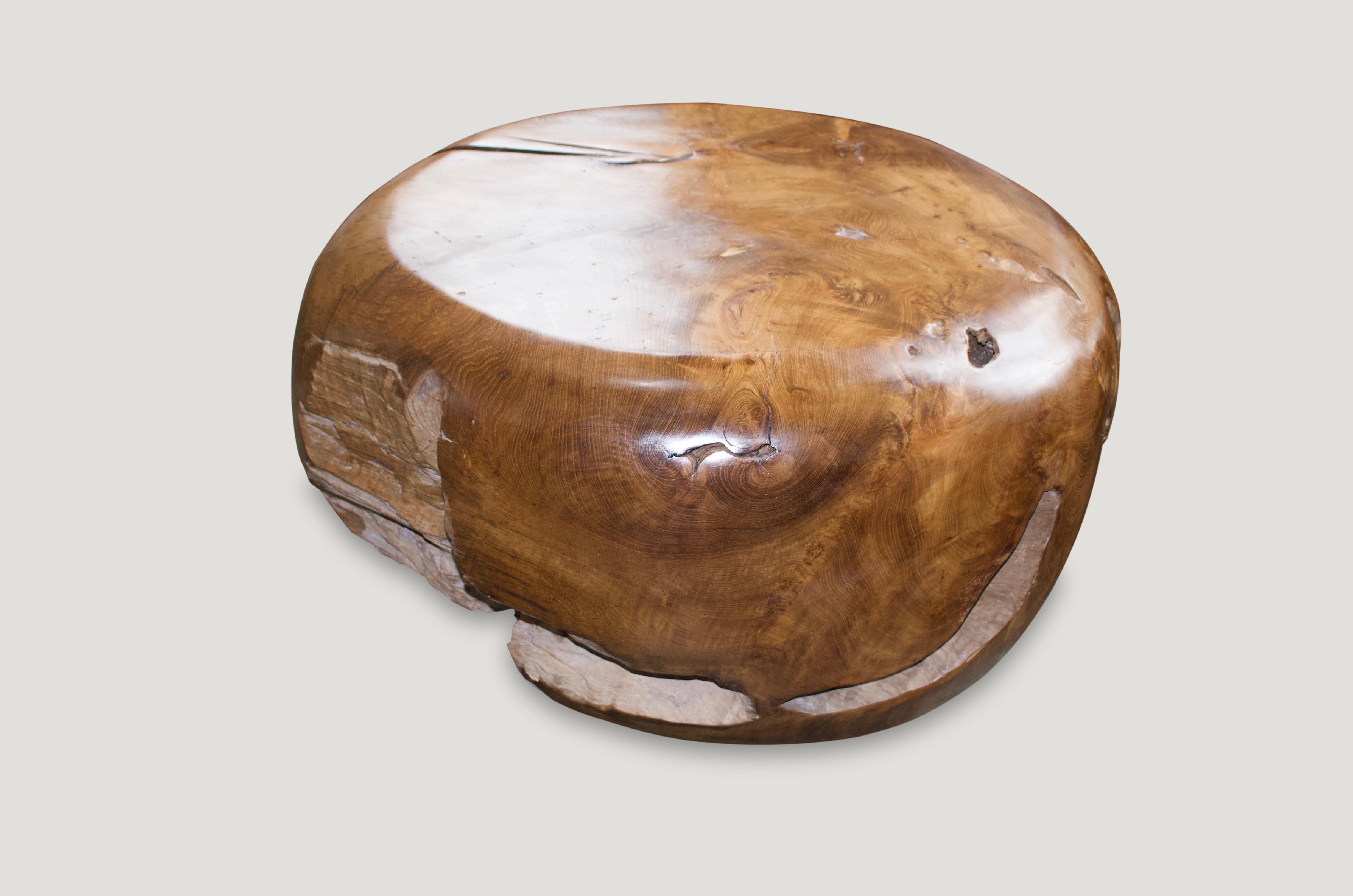 Contemporary Andrianna Shamaris Drum Shaped Teak Wood Coffee Table