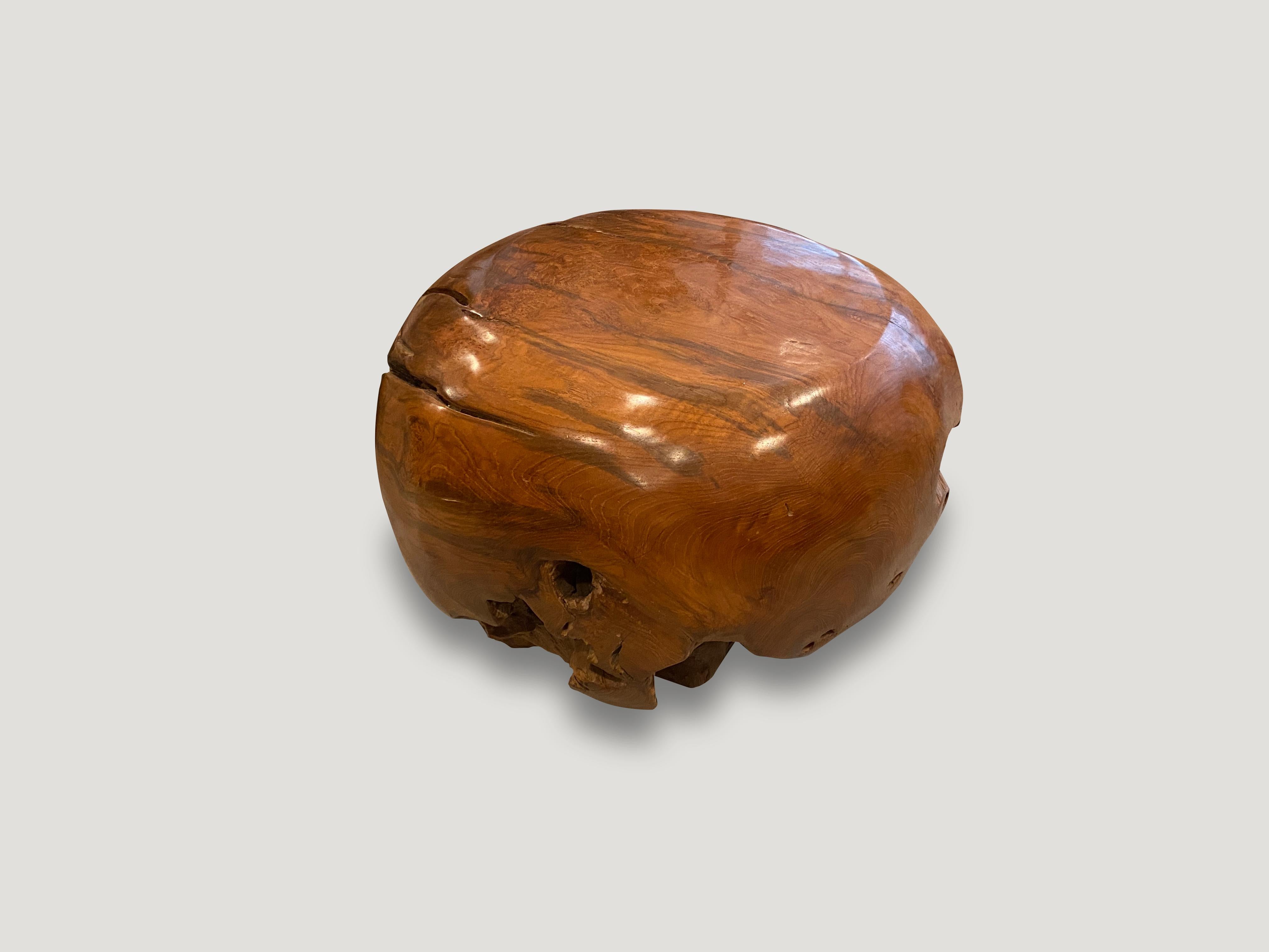Contemporary Andrianna Shamaris Drum Shaped Teak Wood Coffee Table