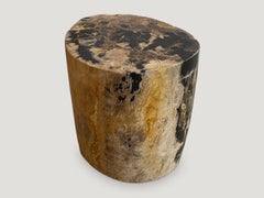 Andrianna Shamaris Earth Tiger Toned High Quality Petrified Wood Side Table