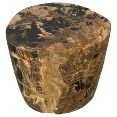 Antique Andrianna Shamaris Earth Tiger Toned High Quality Petrified Wood Side Table