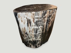 Andrianna Shamaris Earth Toned High Quality Petrified Wood Side Table