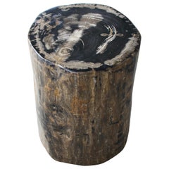 Andrianna Shamaris Earth Toned High Quality Petrified Wood Side Table