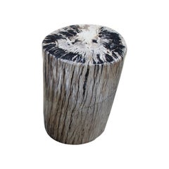 Antique Andrianna Shamaris Earth Toned High Quality Petrified Wood Side Table