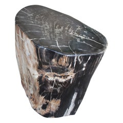 Andrianna Shamaris Earth Toned High Quality Petrified Wood Side Table