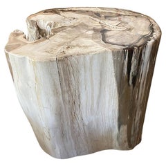 Andrianna Shamaris Earth Toned Petrified Wood