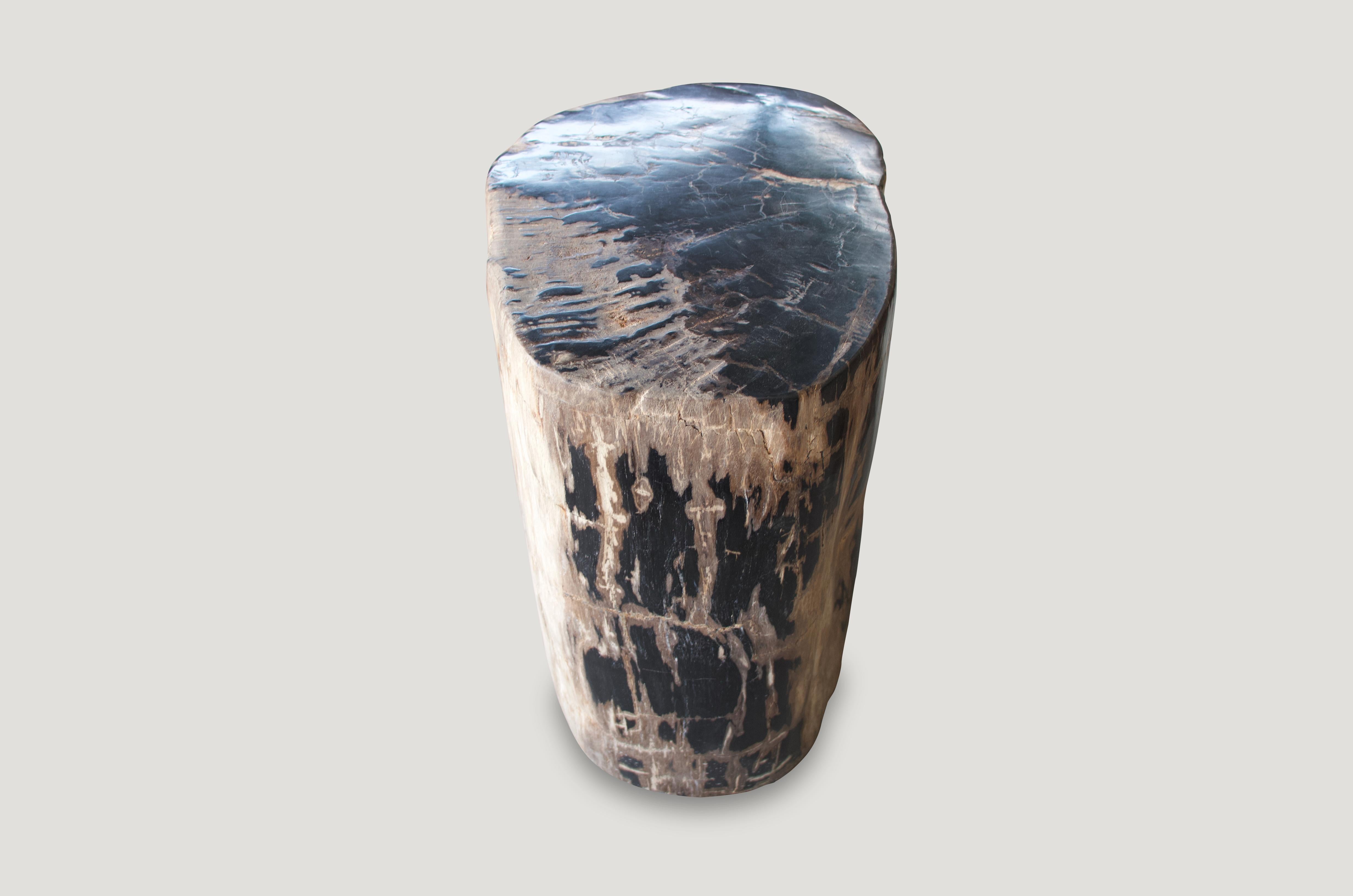 Contrasting earth tones in this high quality petrified wood side table with natural occurring pattern. We have a collection of three, all cut from the same petrified log. The price reflects one.

As with a diamond, we polish the highest quality