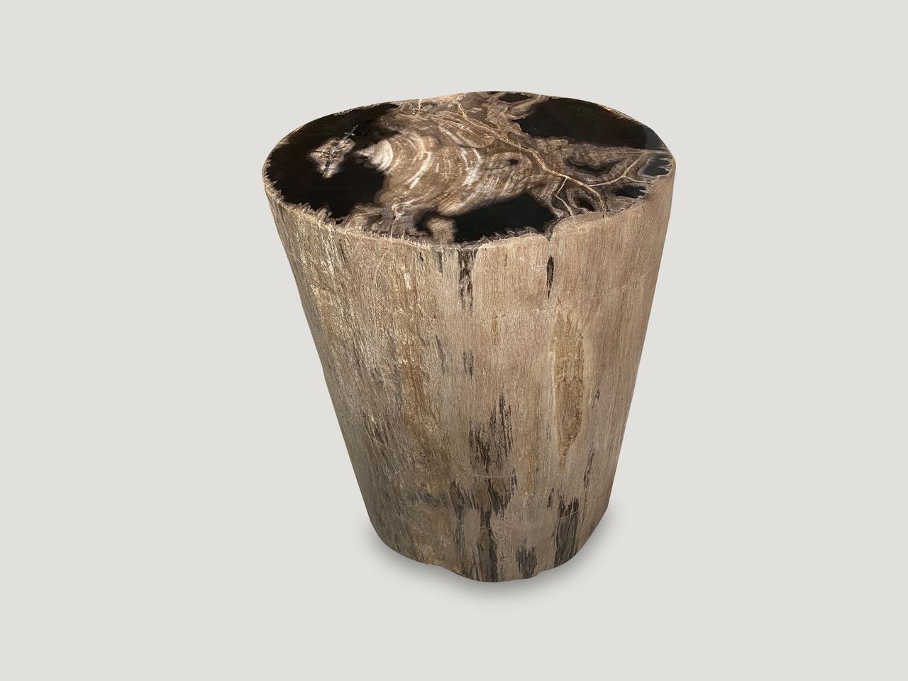 Beautiful earth tones on this high quality petrified wood side table. It’s fascinating how Mother Nature produces these stunning 40 million year old petrified teak logs with such contrasting colors with natural patterns throughout. Modern yet with