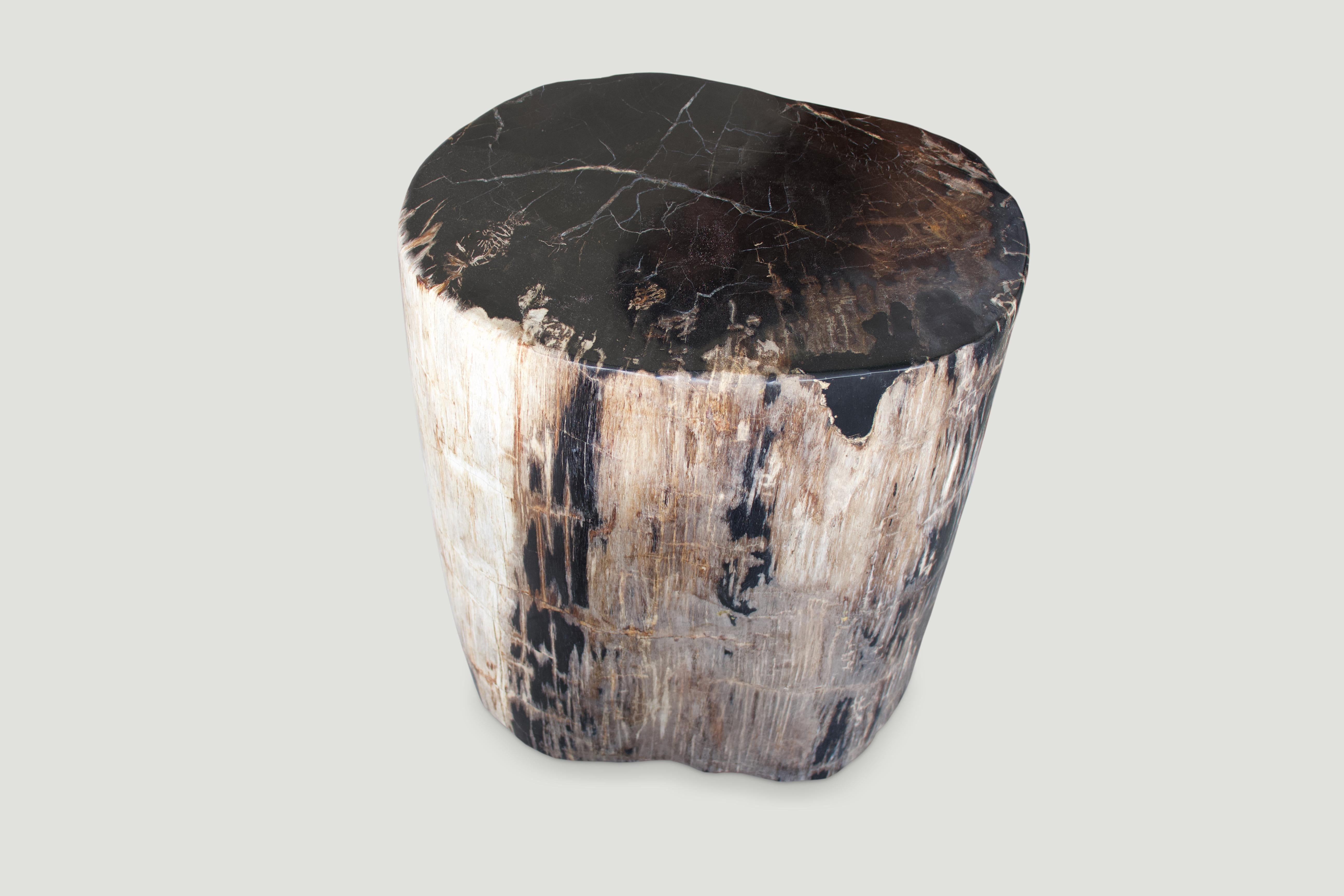 Organic Modern Andrianna Shamaris Earth Toned Petrified Wood Side Table