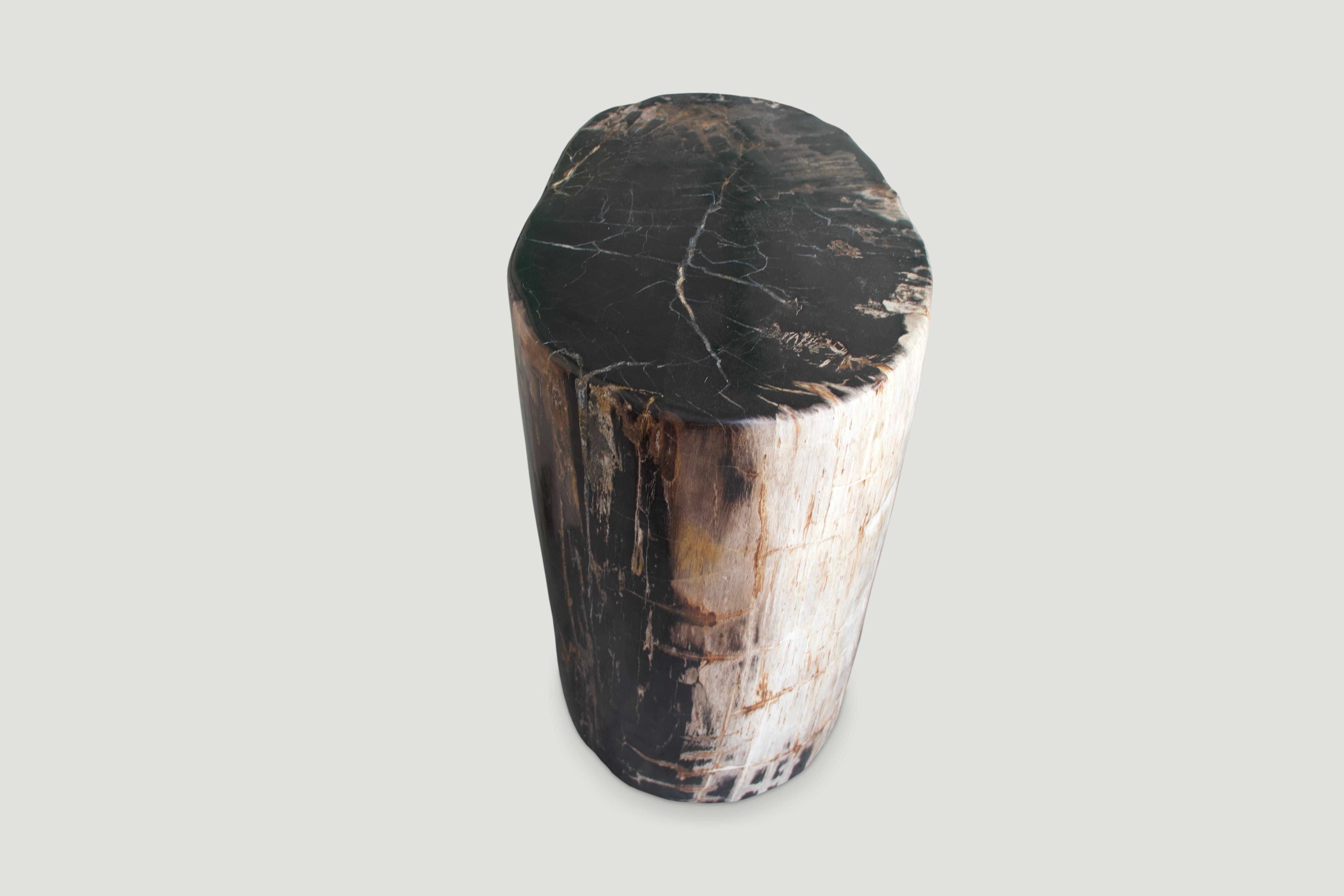 Andrianna Shamaris Earth Toned Petrified Wood Side Table In Excellent Condition In New York, NY