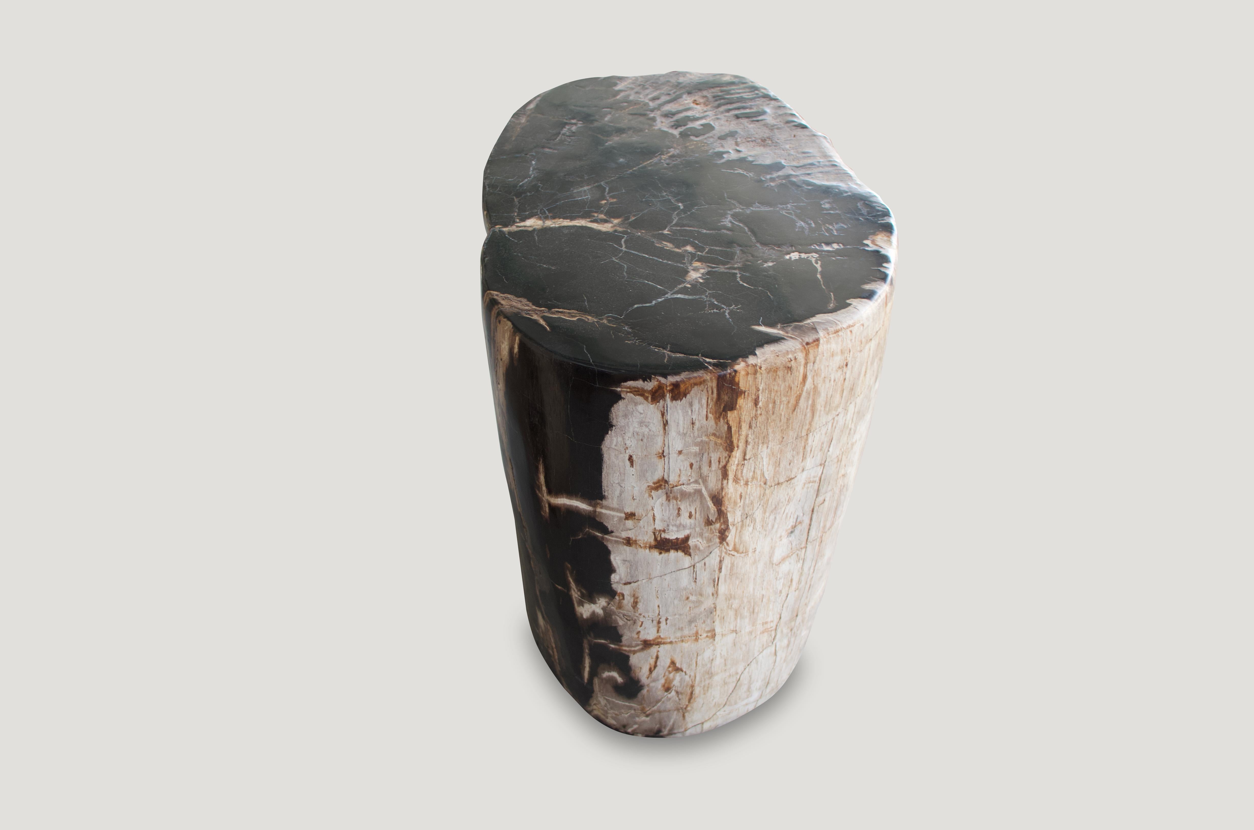 Andrianna Shamaris Earth Toned Petrified Wood Side Table In Excellent Condition In New York, NY