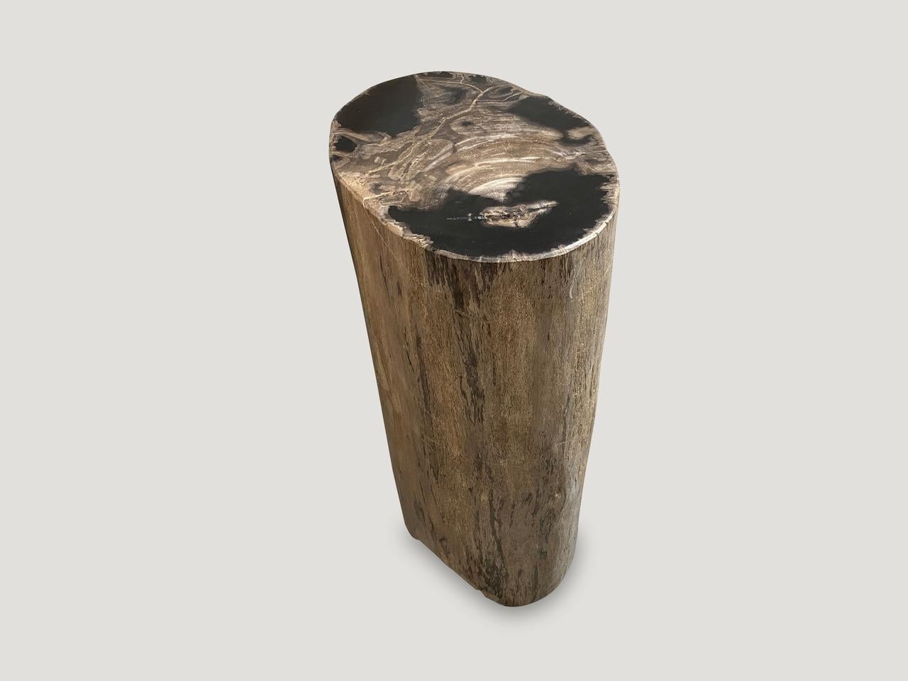 Andrianna Shamaris Earth Toned Petrified Wood Side Table In Excellent Condition In New York, NY