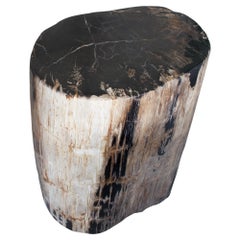 Andrianna Shamaris Earth Toned Petrified Wood Side Table